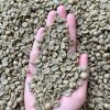 Arabica Green Bean S16-18 ( Grade 1 )