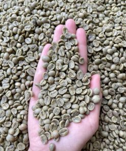 Arabica Green Bean S16-18 ( Grade 1 )